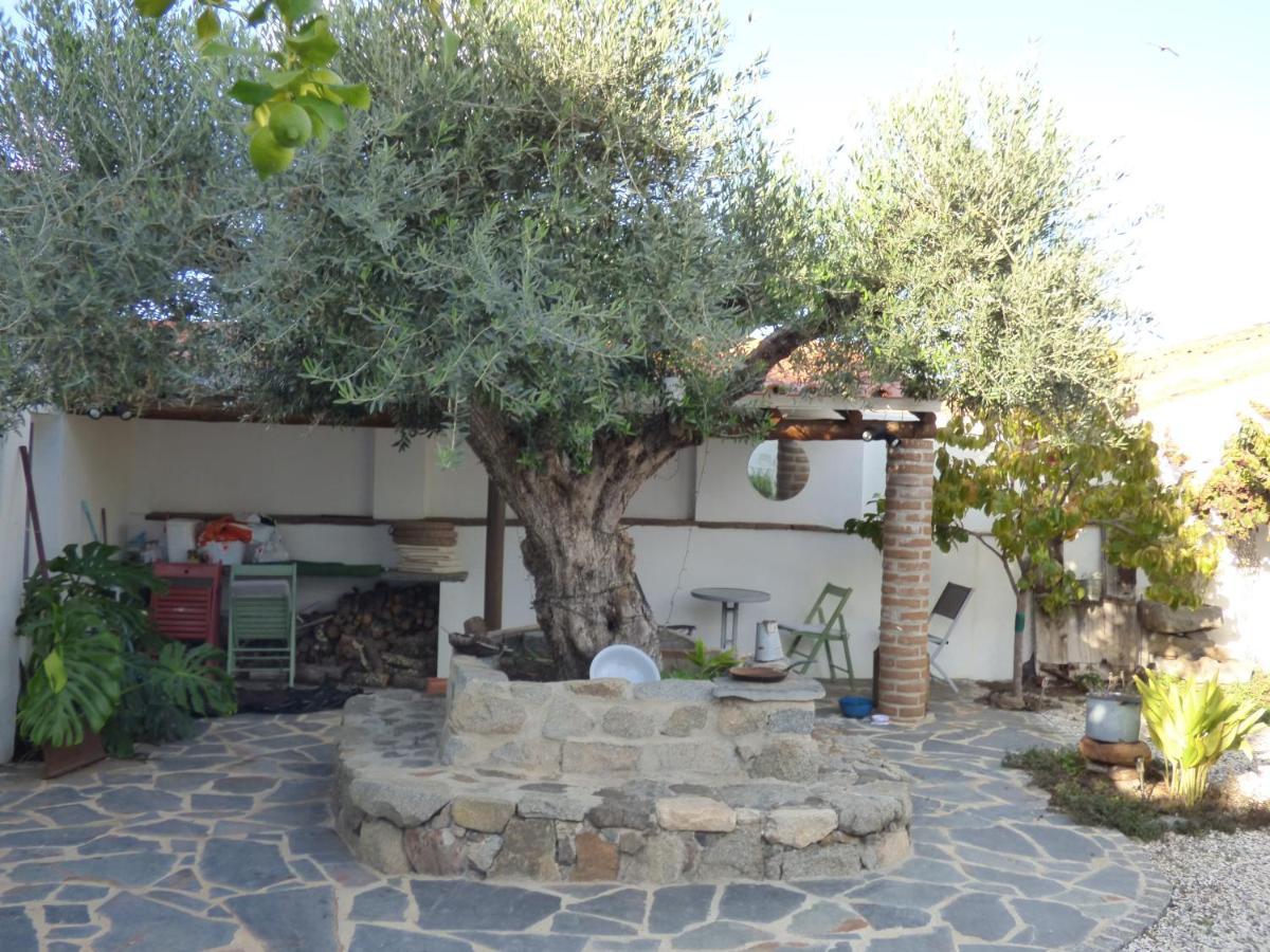 Solar Da Cumeada Bed and Breakfast Reguengos de Monsaraz Eksteriør billede