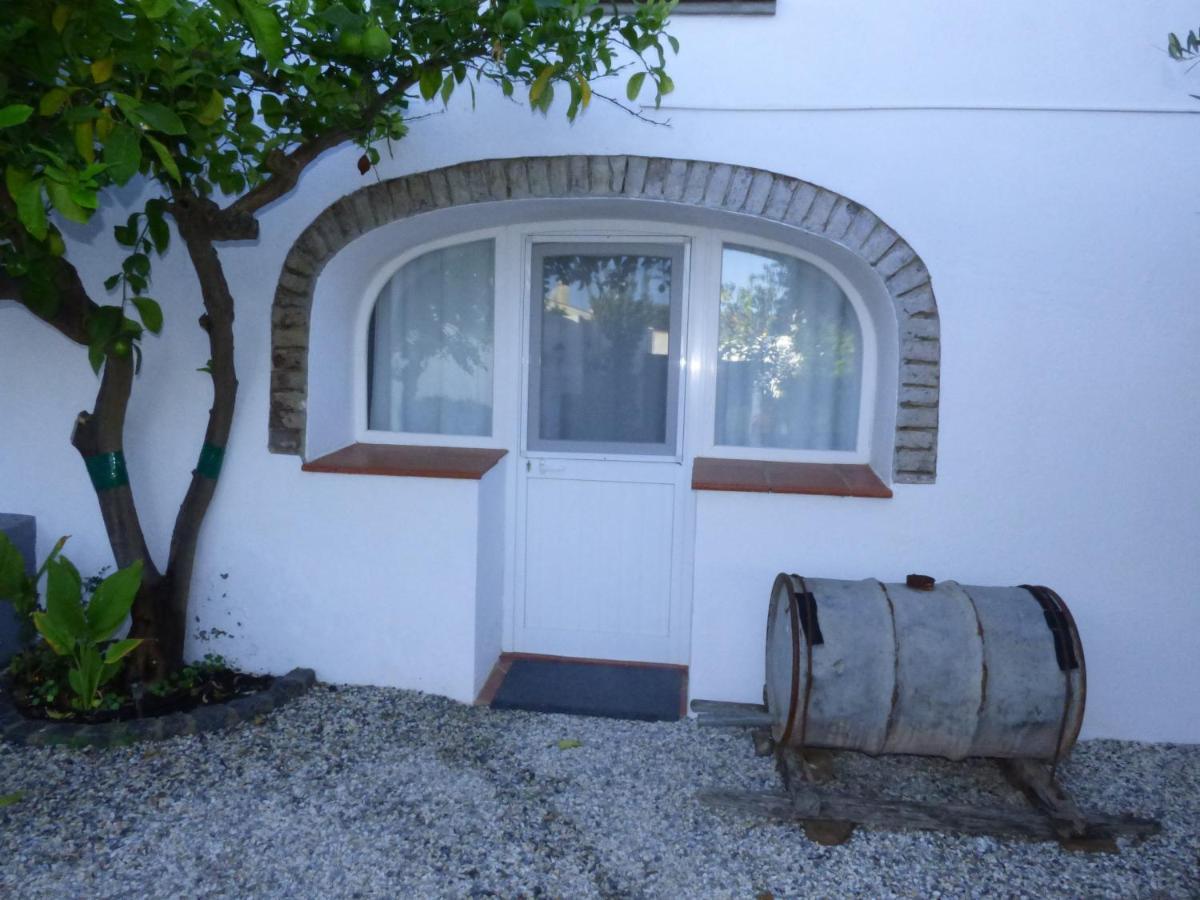 Solar Da Cumeada Bed and Breakfast Reguengos de Monsaraz Eksteriør billede
